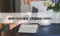 郑州1500斤猪王（河南猪王1500斤）
