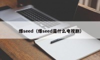 爆seed（爆seed是什么电视剧）